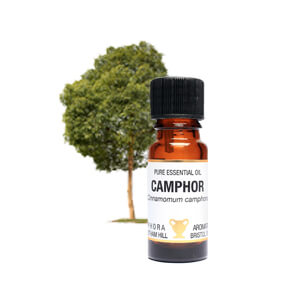 Camphor Essential Oil 10ml