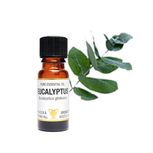 Eucalyptus Essential Oil 10ml