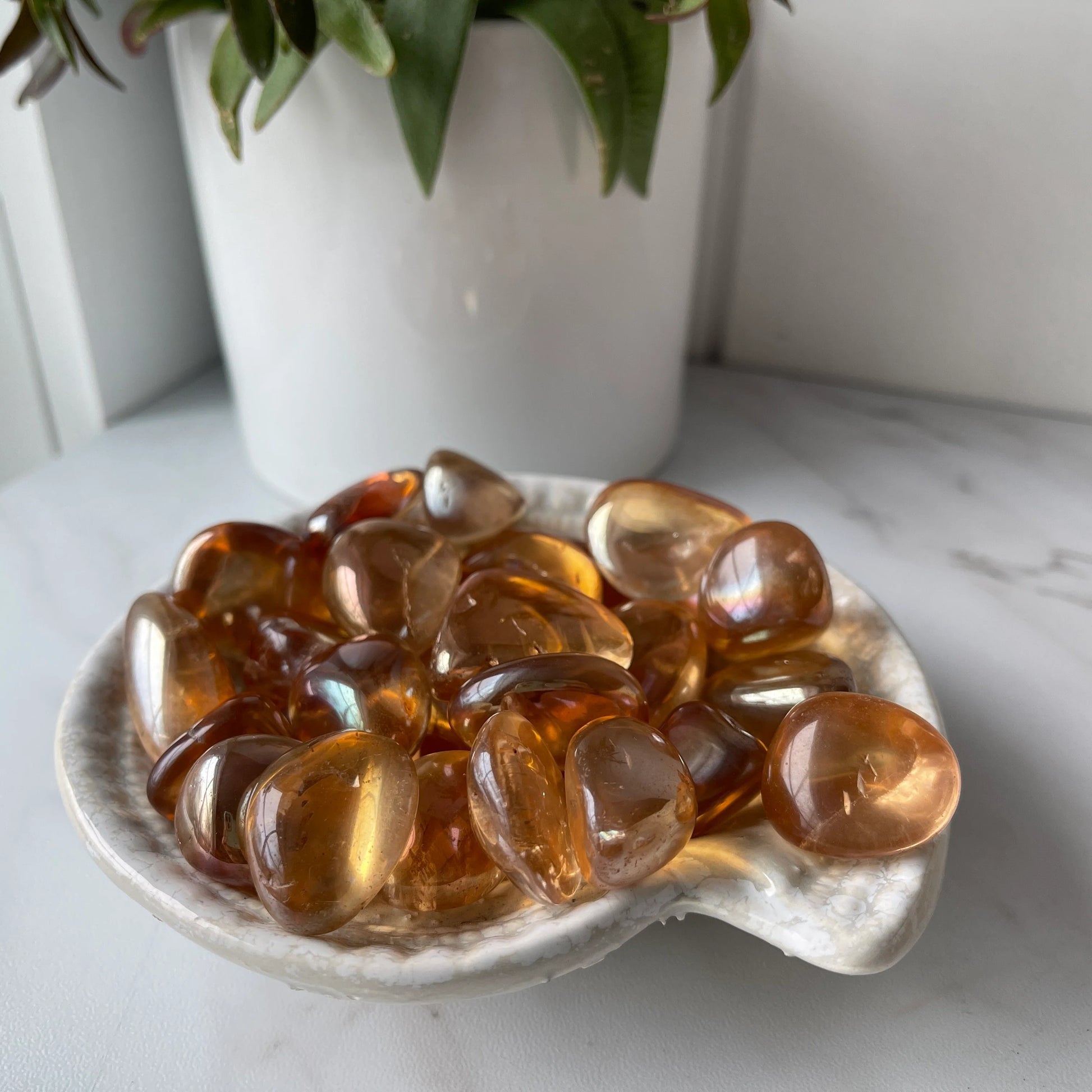 Tangerine Aura