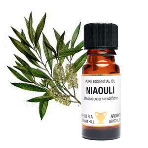 Niaouli Essential Oil 10ml