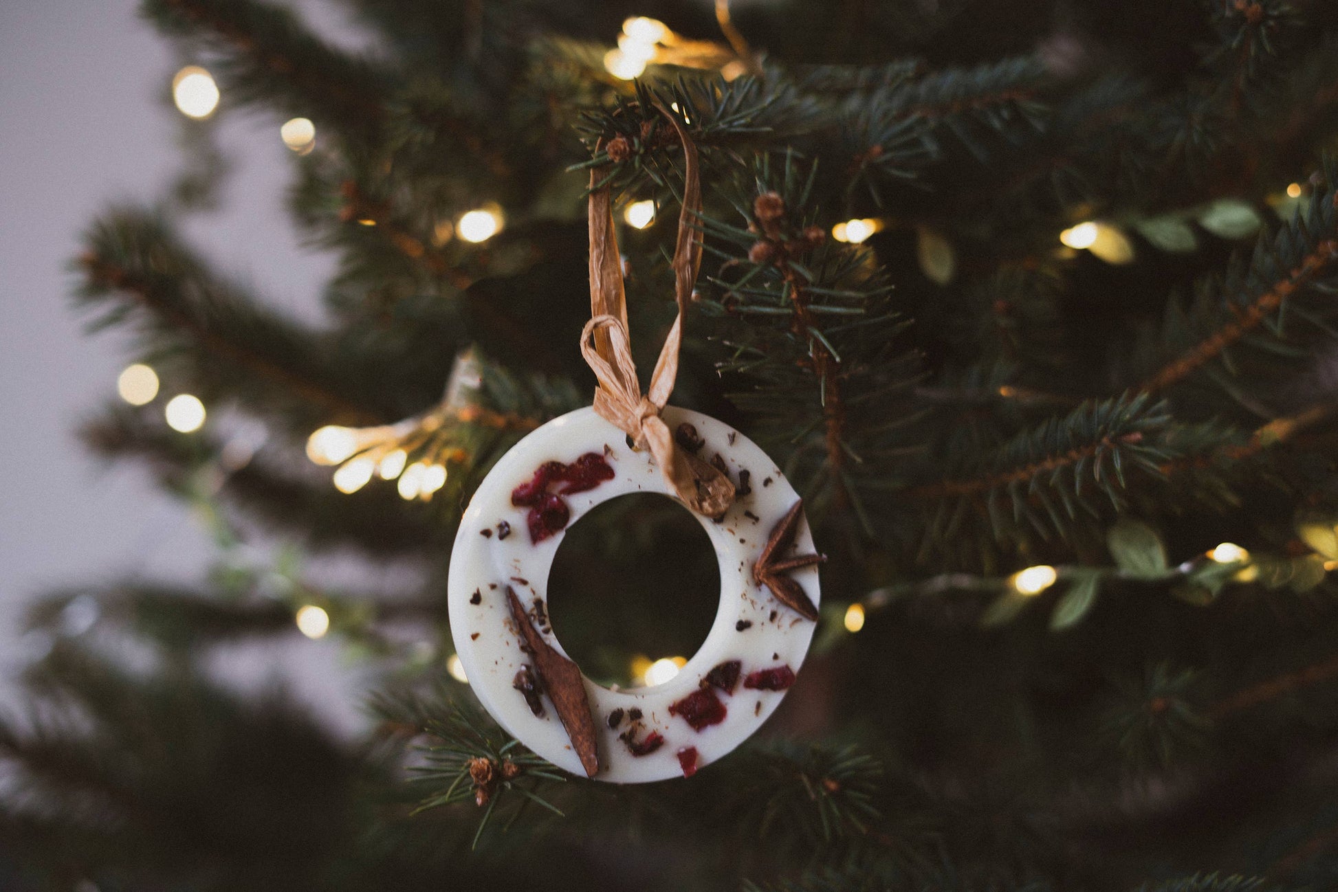 Christmas Scented Tree Decorations: Cranberry Orange and Cinnamon / Star