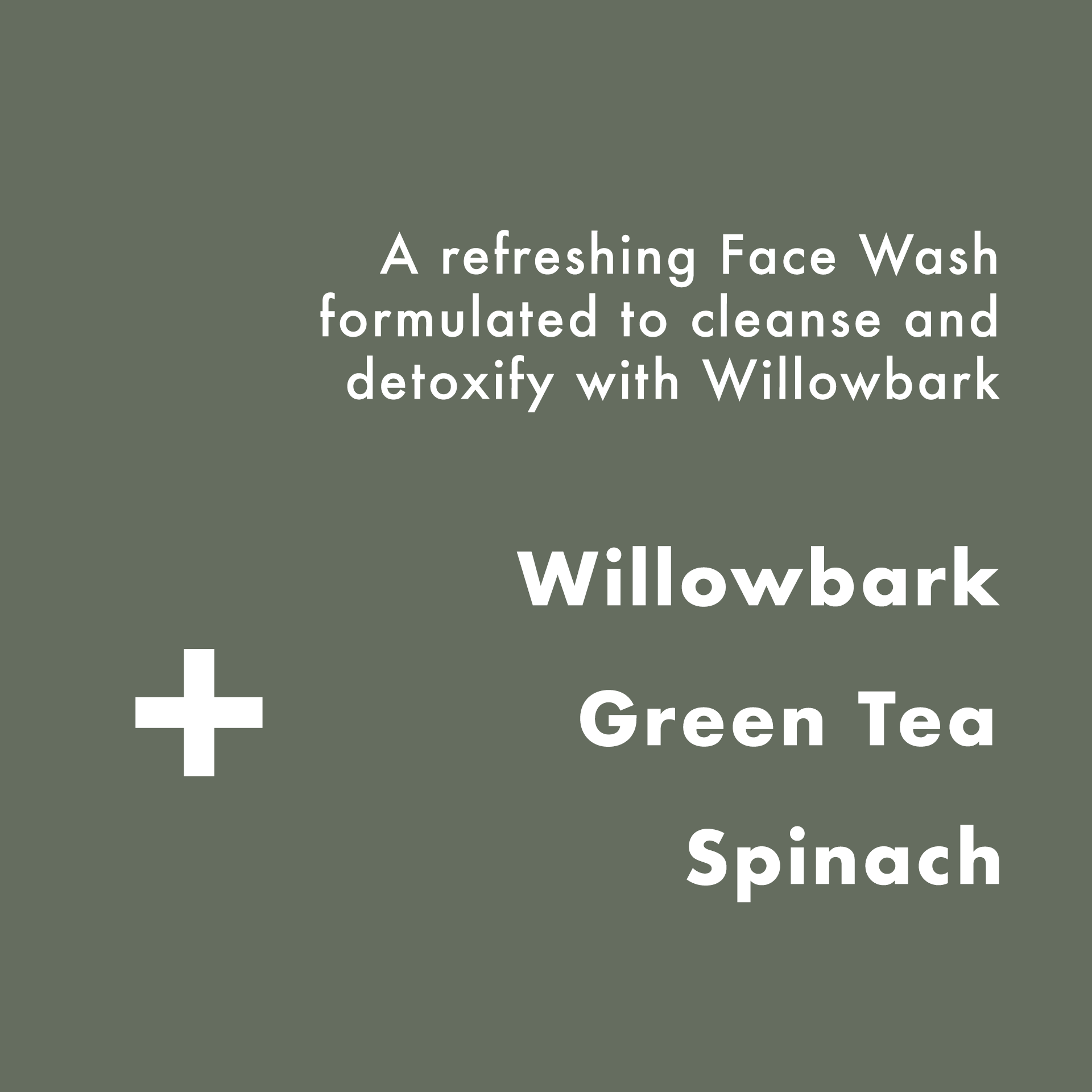 Willowbark Face Wash 125ml, Mens Skincare Routine, Mens Gift: 125ml