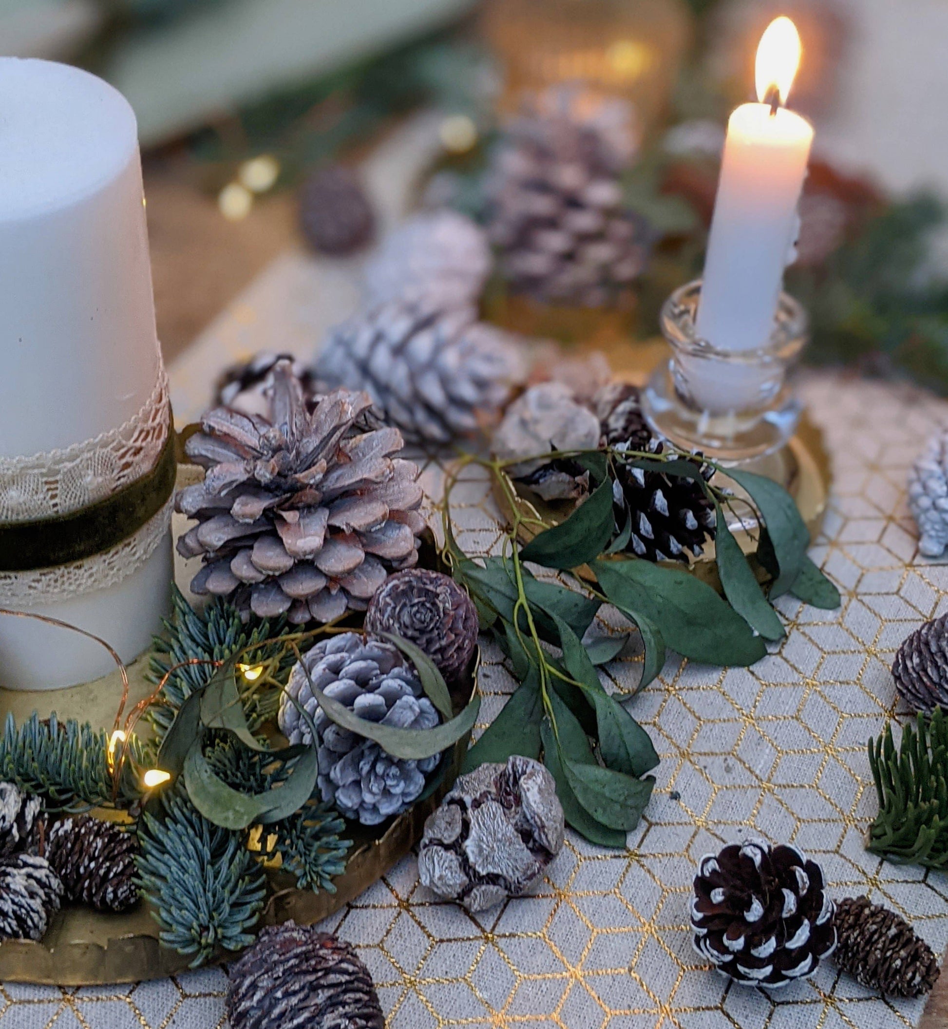 Natural Mixed White Pine Cones - WHITE CHRISTMAS