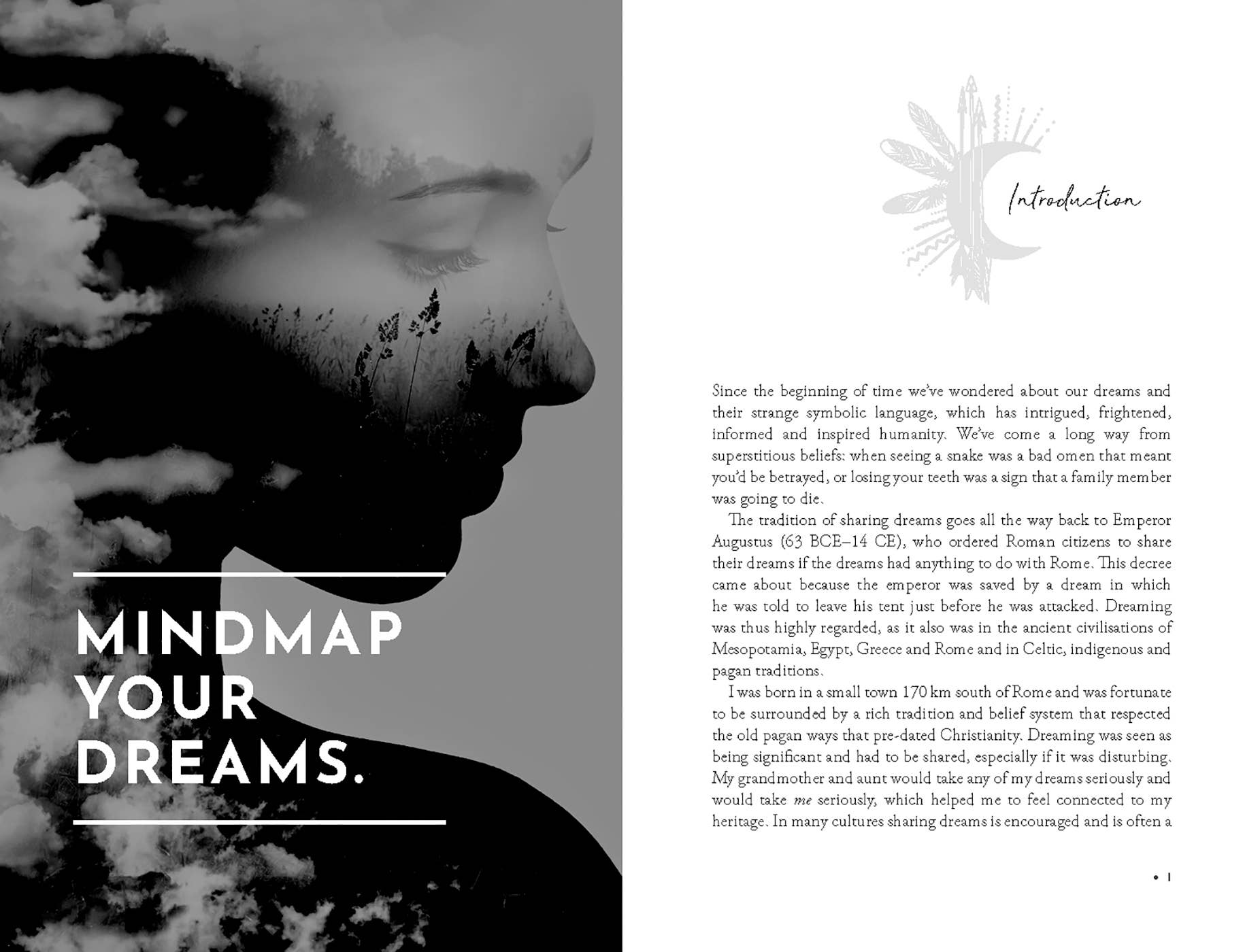 Inside Your Dreams