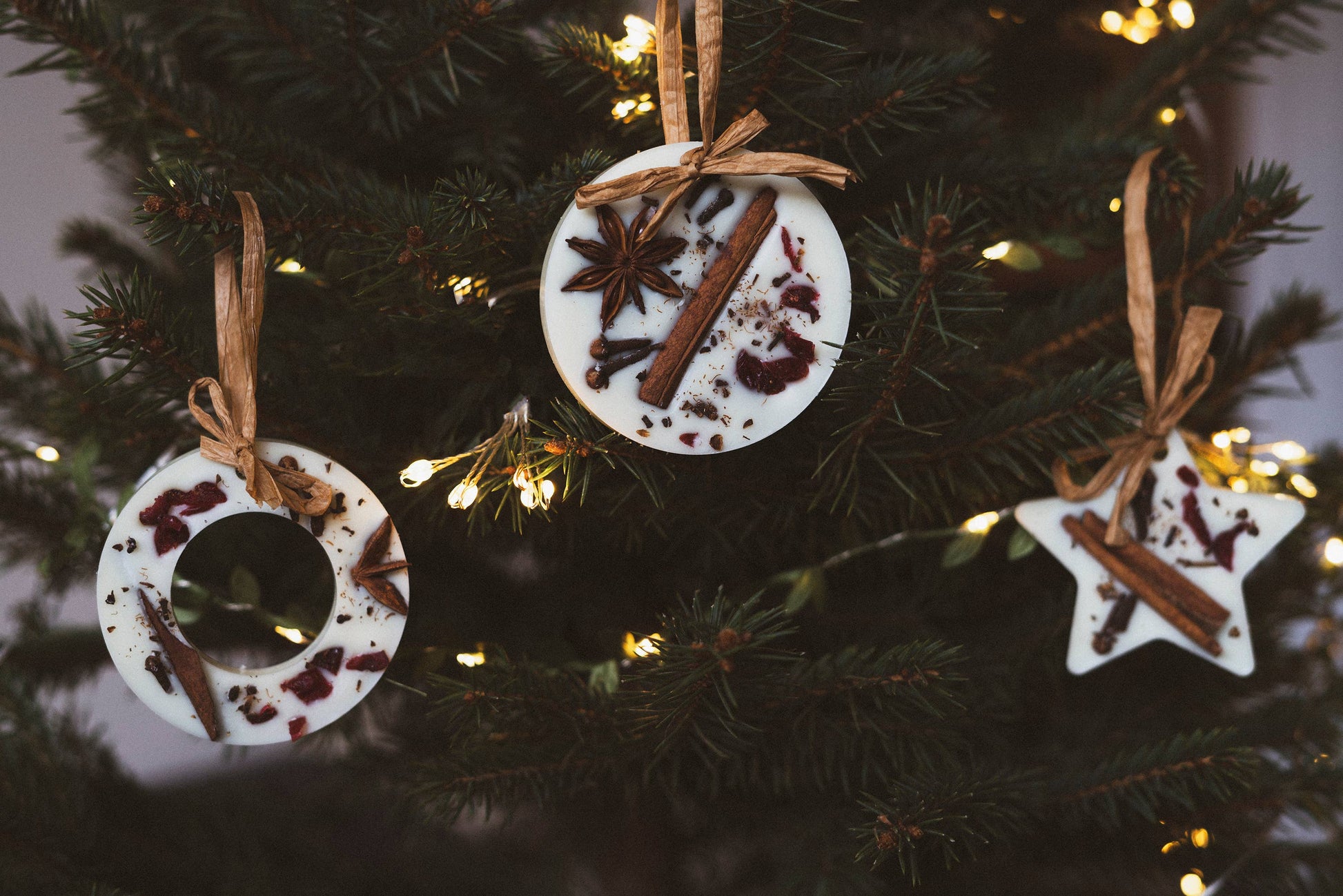Christmas Scented Tree Decorations: Cranberry Orange and Cinnamon / Star