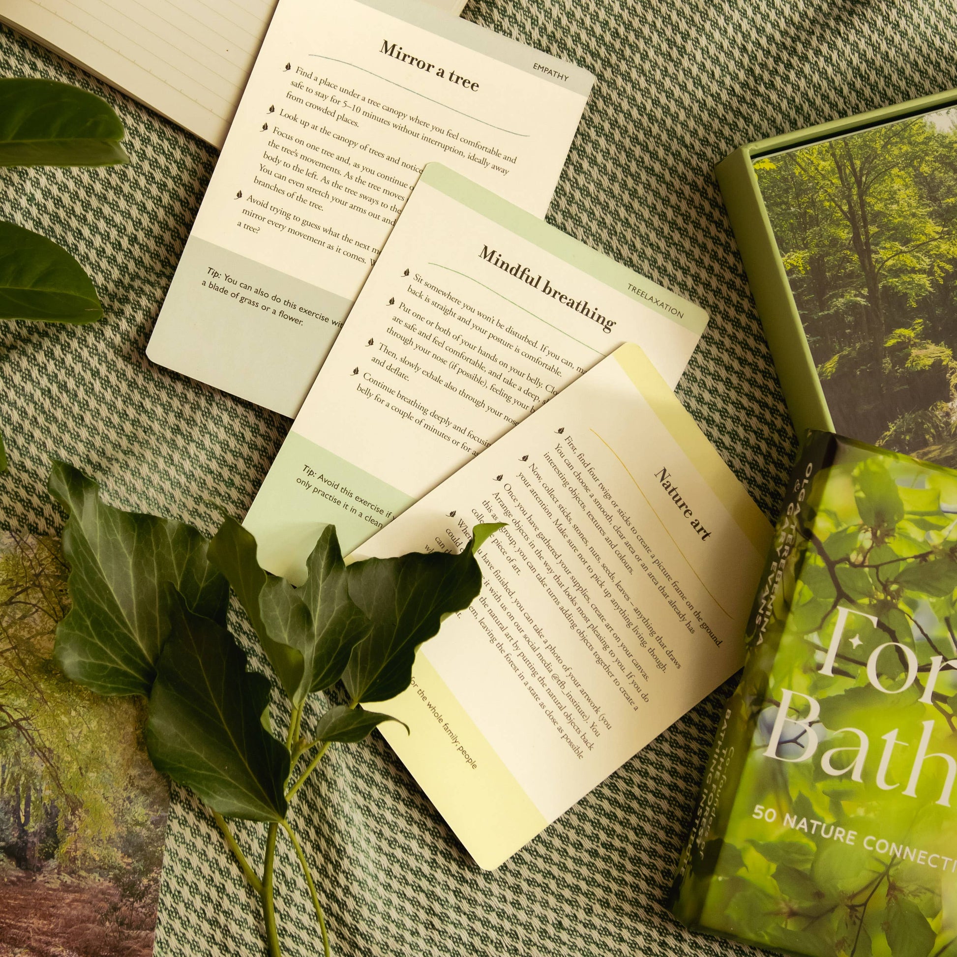Forest Bathing: 50 nature connection cards