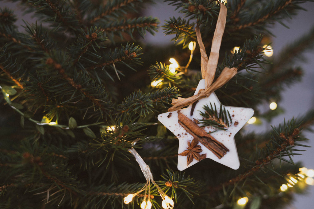 Christmas Scented Tree Decorations: Cranberry Orange and Cinnamon / Star