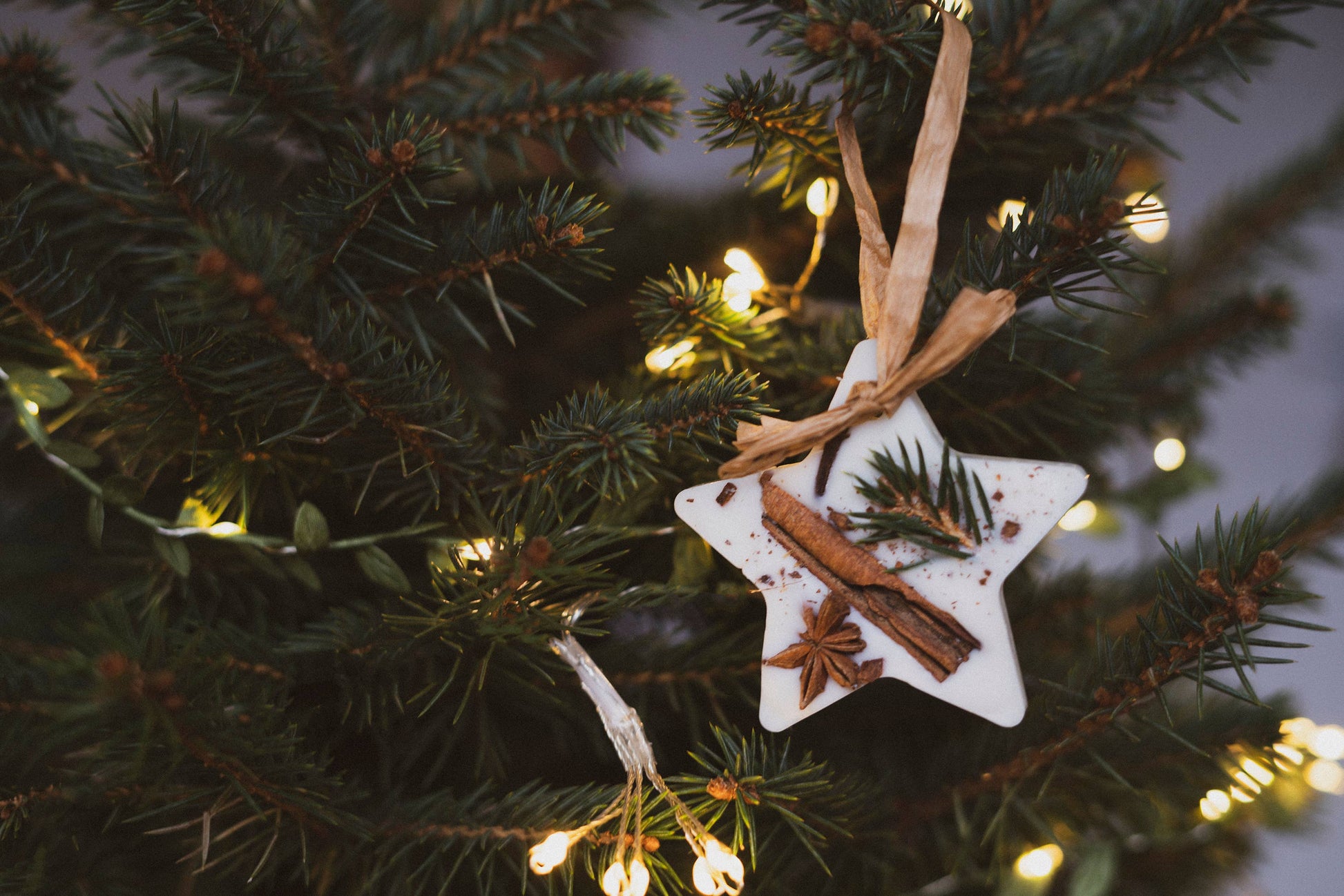 Christmas Scented Tree Decorations: Cranberry Orange and Cinnamon / Star