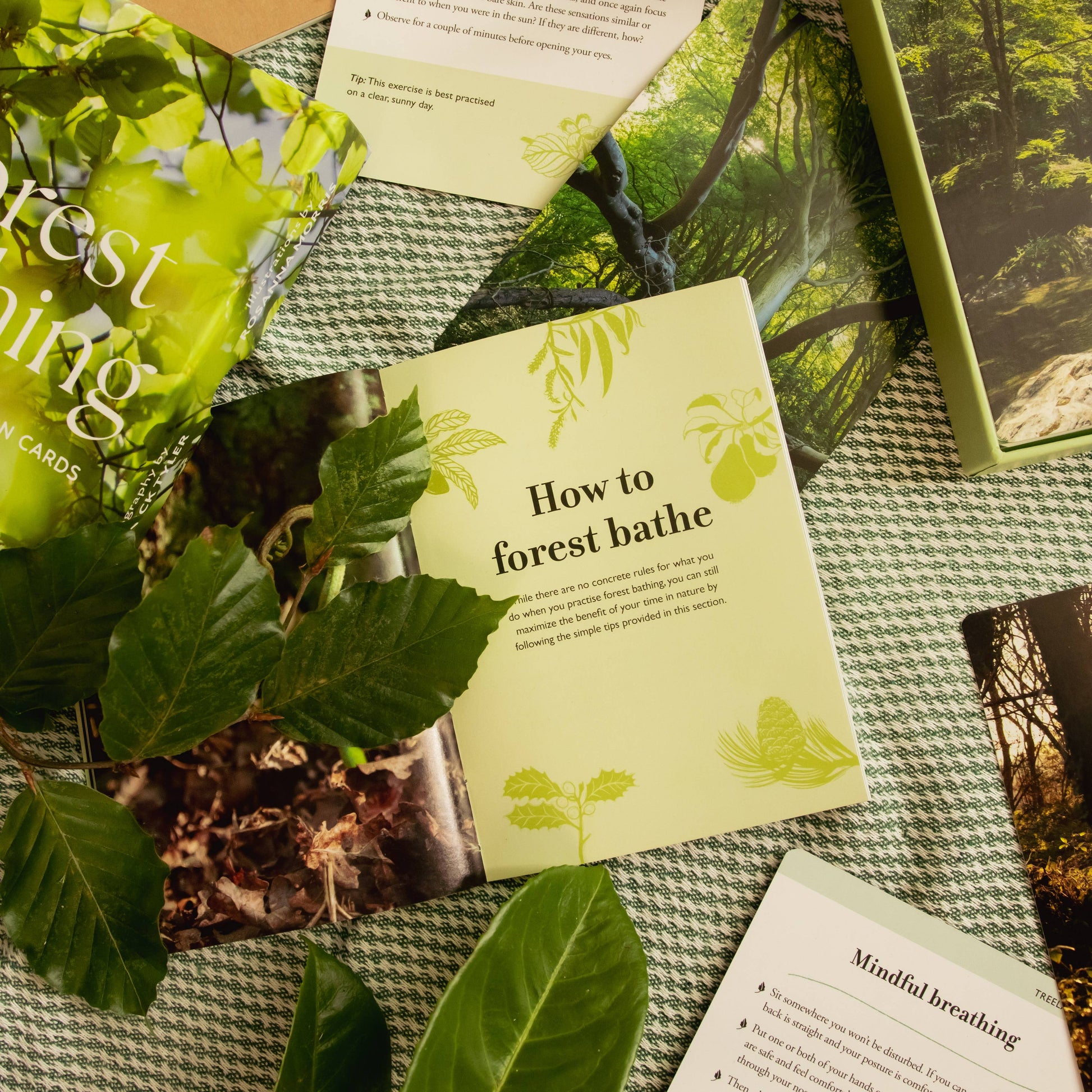 Forest Bathing: 50 nature connection cards