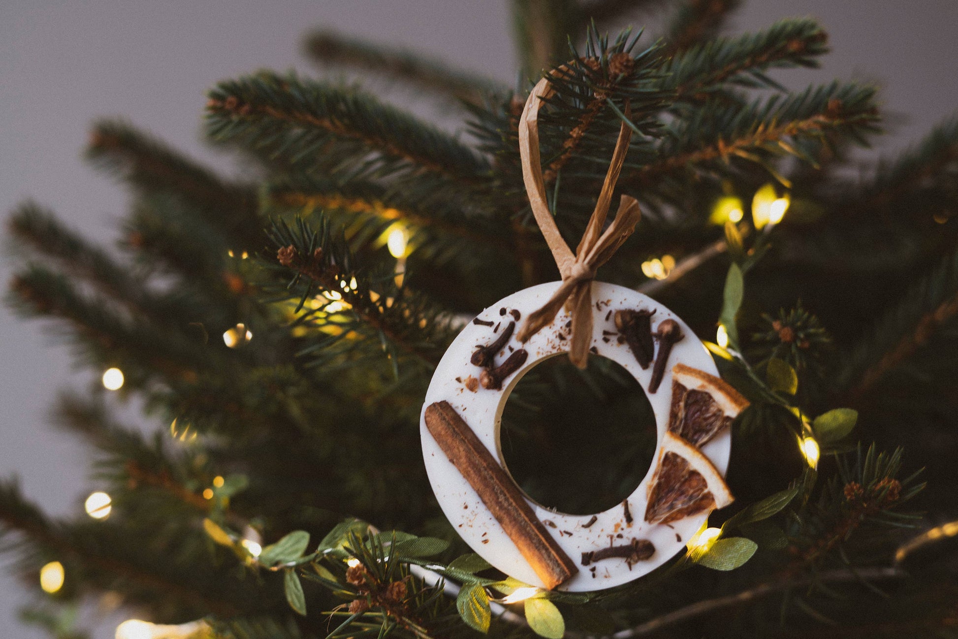 Christmas Scented Tree Decorations: Cranberry Orange and Cinnamon / Star