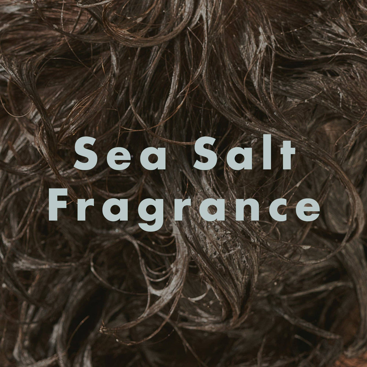 Scalp Care Shampoo, Christmas Gift for Him