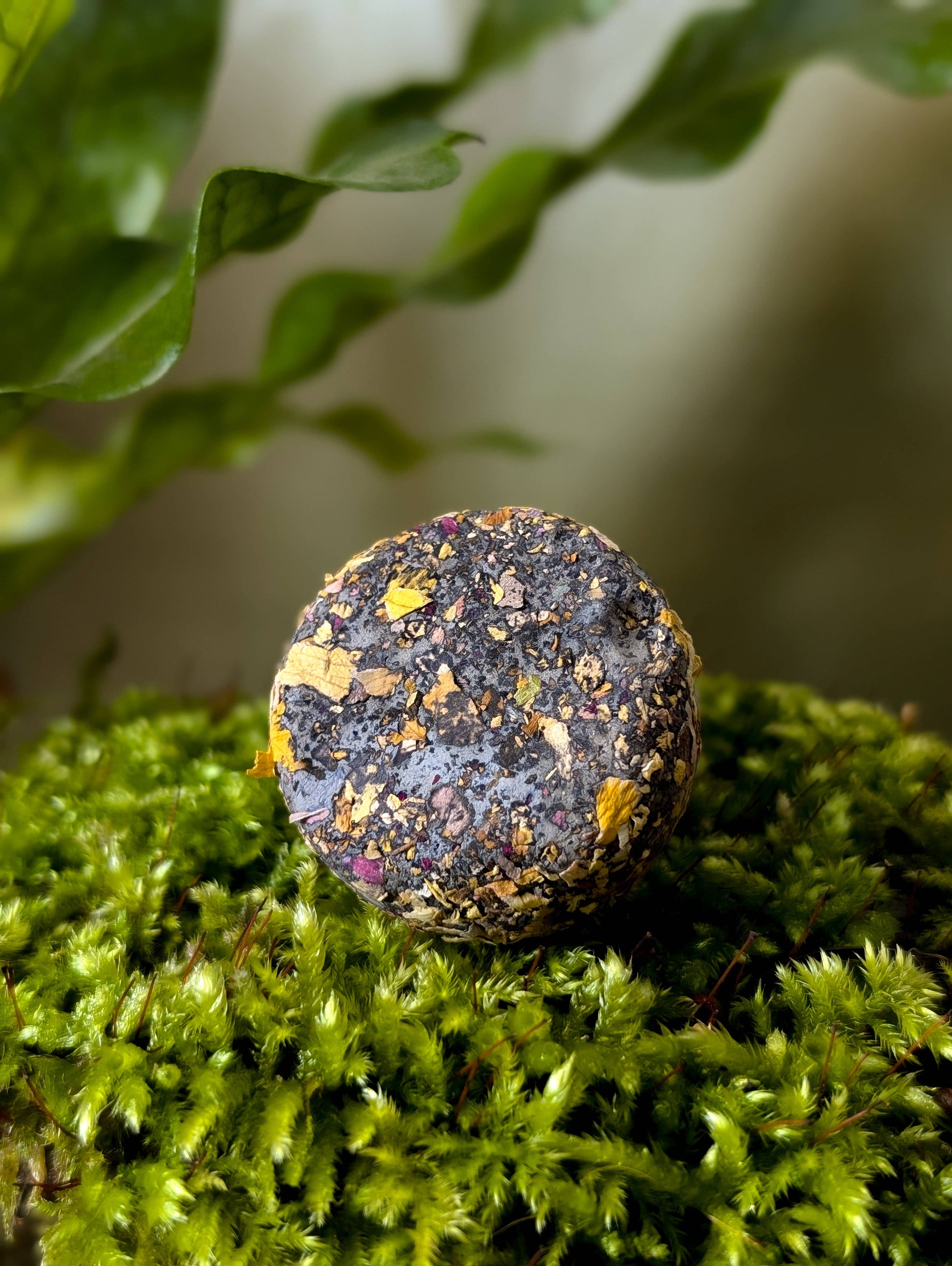 wildflower seed bombs uk Don't Just Live, Bloom Wildflower Seed Bombs – BeYoutiful