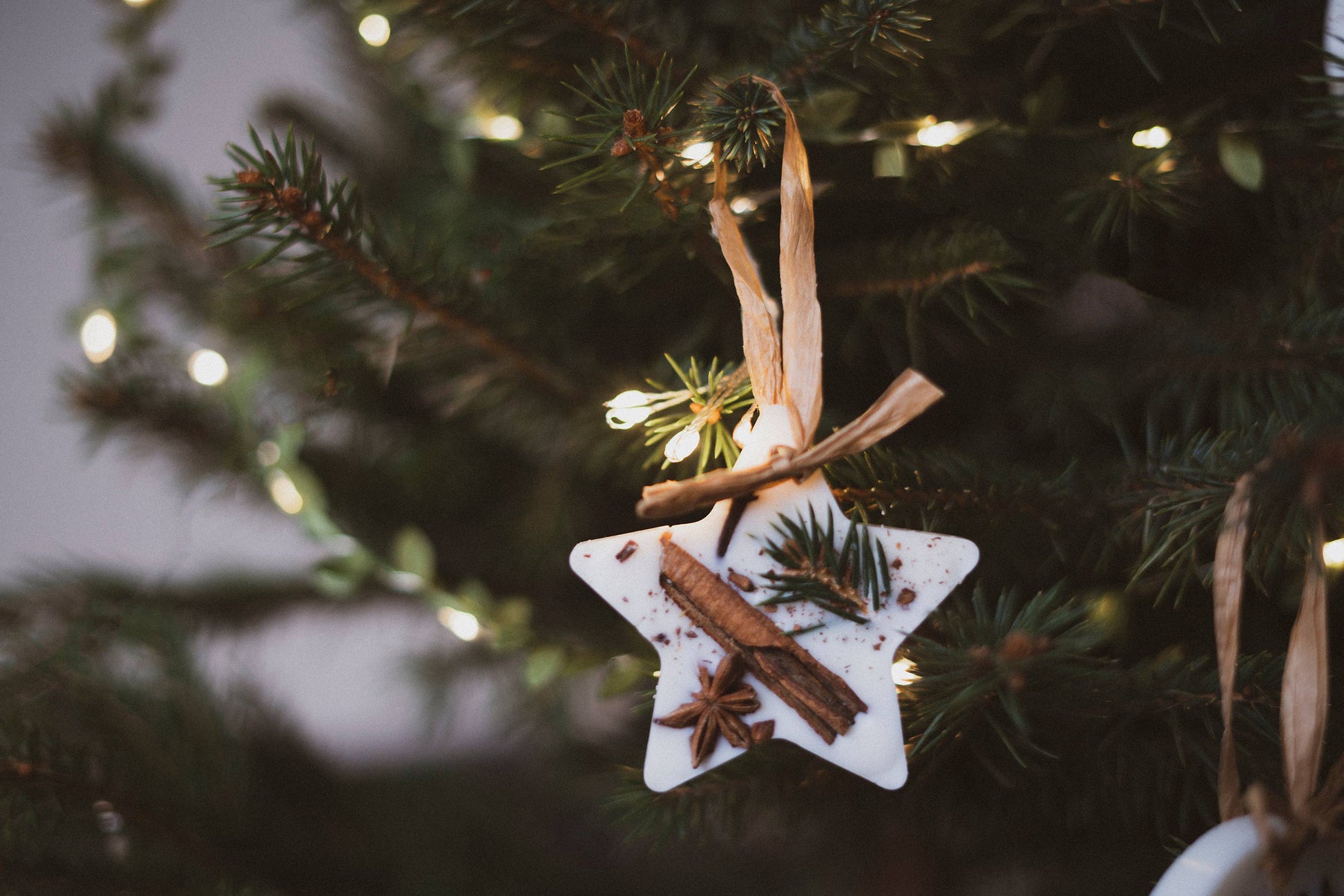 Christmas Scented Tree Decorations: Cranberry Orange and Cinnamon / Star