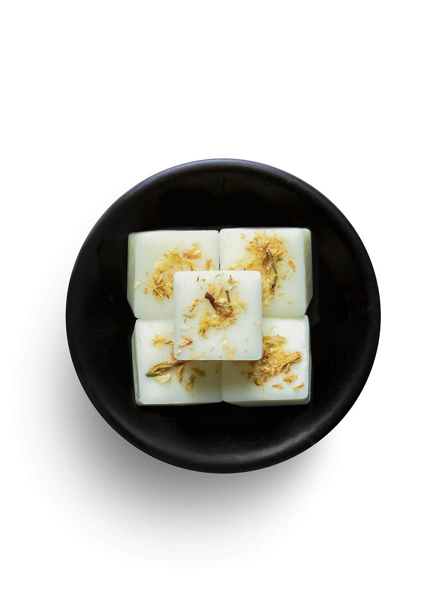 Freckleface Individual Wax Melt