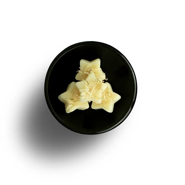 Freckleface Individual Wax Melt