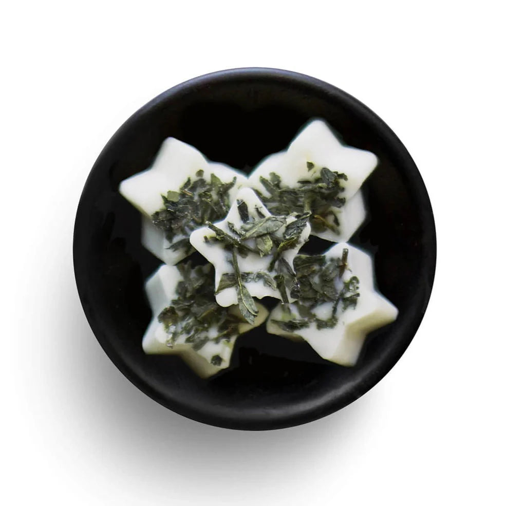 Freckleface Individual Wax Melt