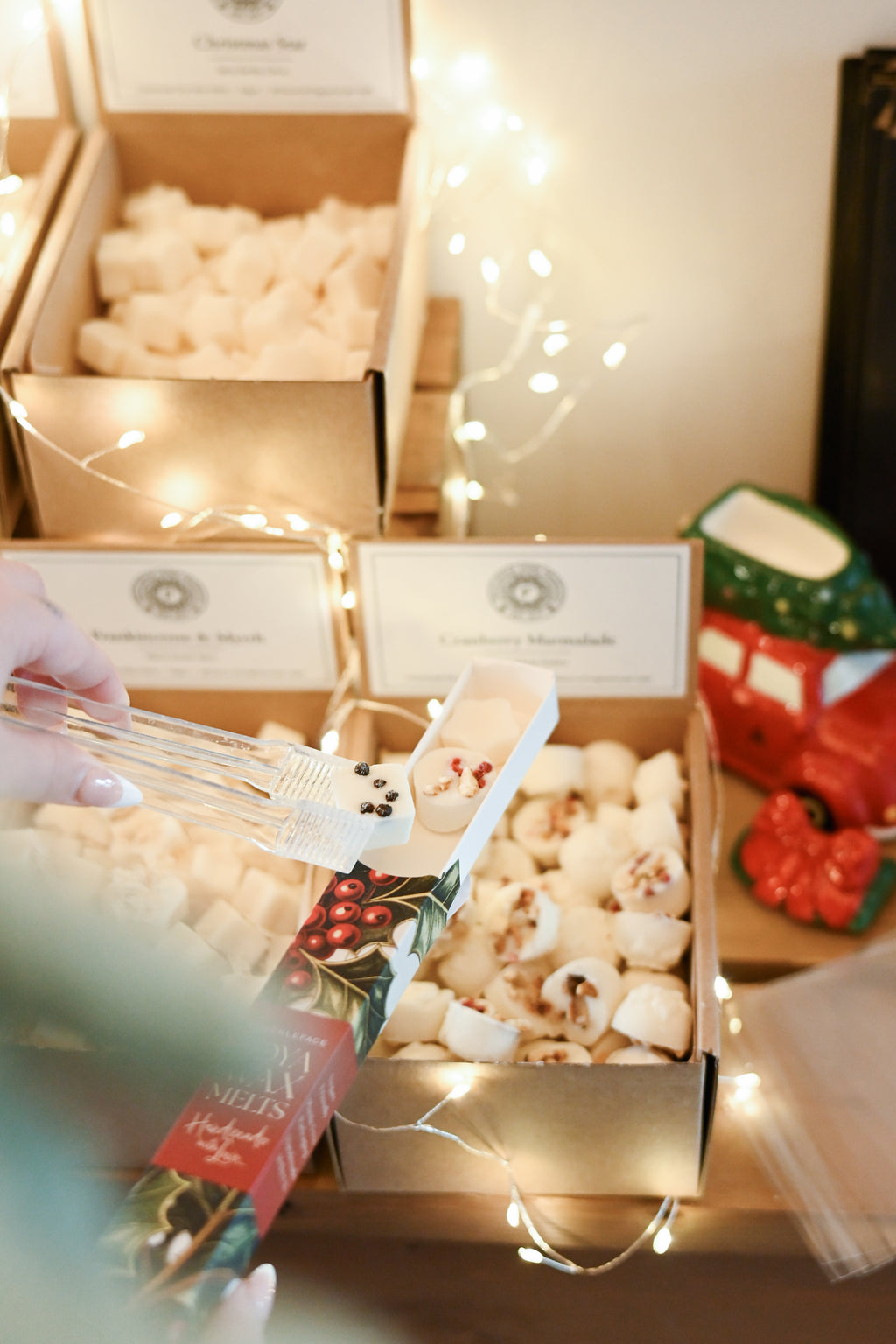 Pack of 10 Pick & Mix Festive Wax Melts