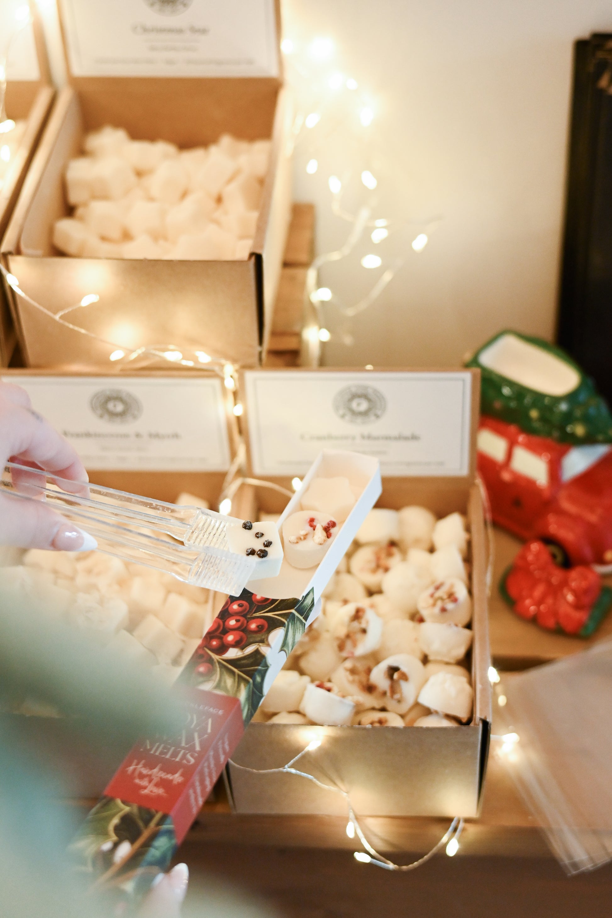 Pack of 10 Pick & Mix Festive Wax Melts