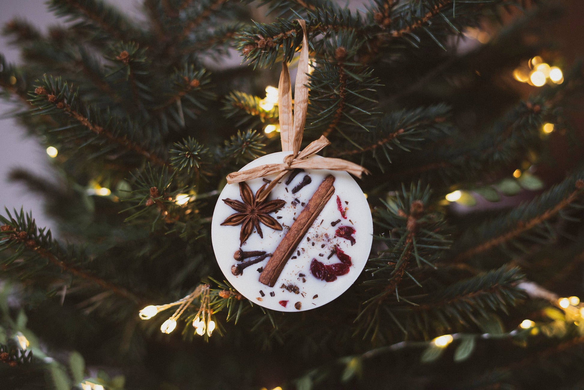 Christmas Scented Tree Decorations: Cranberry Orange and Cinnamon / Star