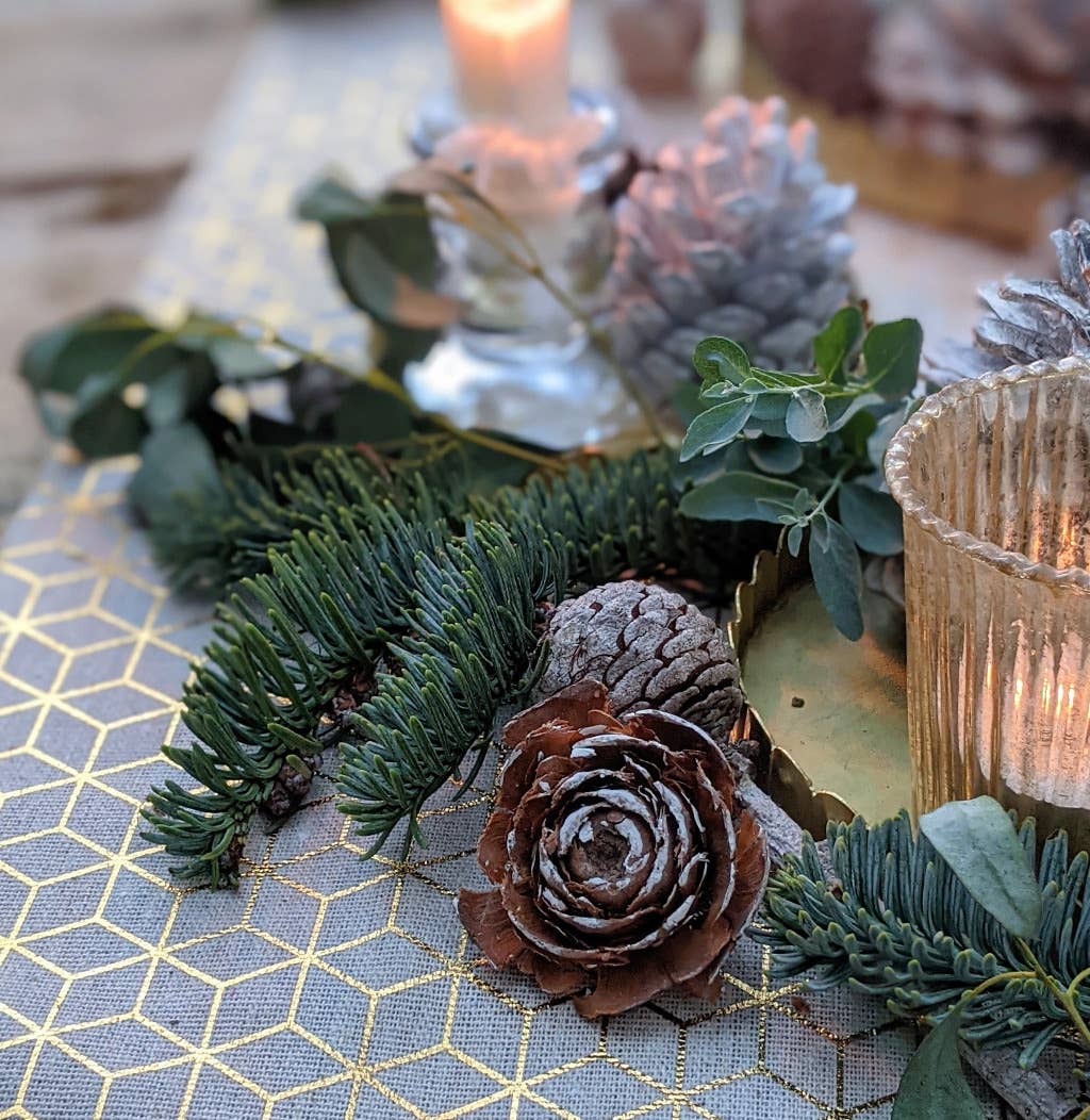 Natural Mixed White Pine Cones - WHITE CHRISTMAS