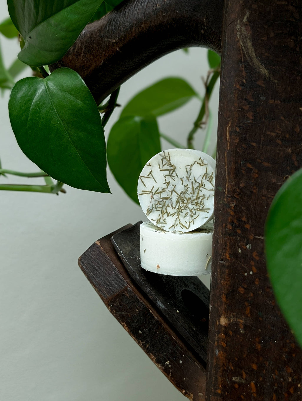 Apple Soy Wax Melts