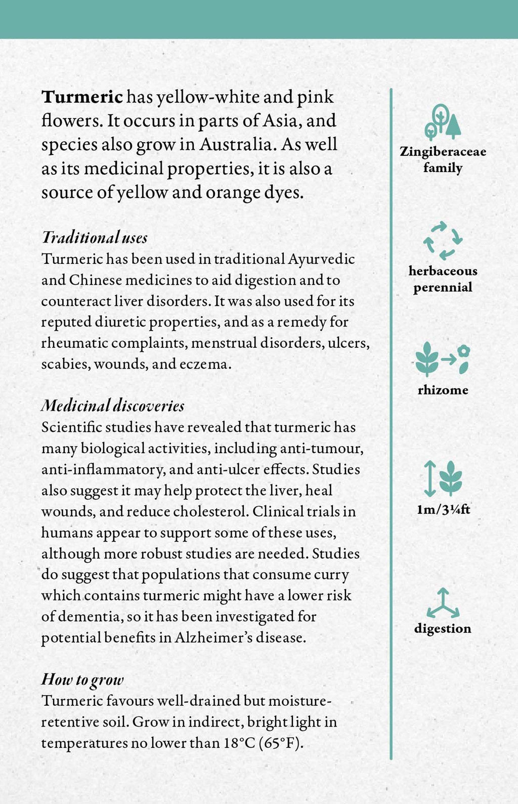 A Cabinet Full of Medicinal Plants