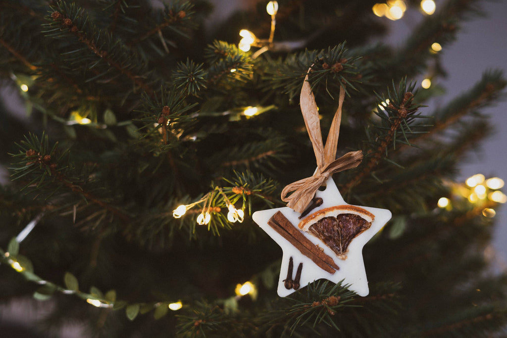 Christmas Scented Tree Decorations: Cranberry Orange and Cinnamon / Star