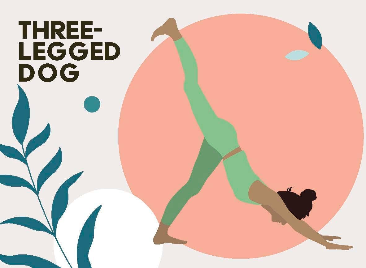 Yoga Asana Cards