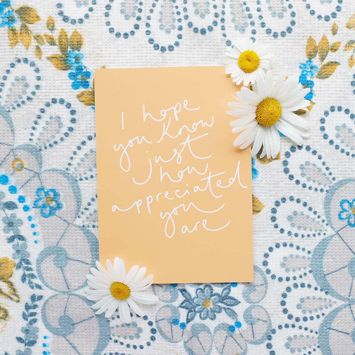 'I hope you know just how appreciated you are'  Postcard
