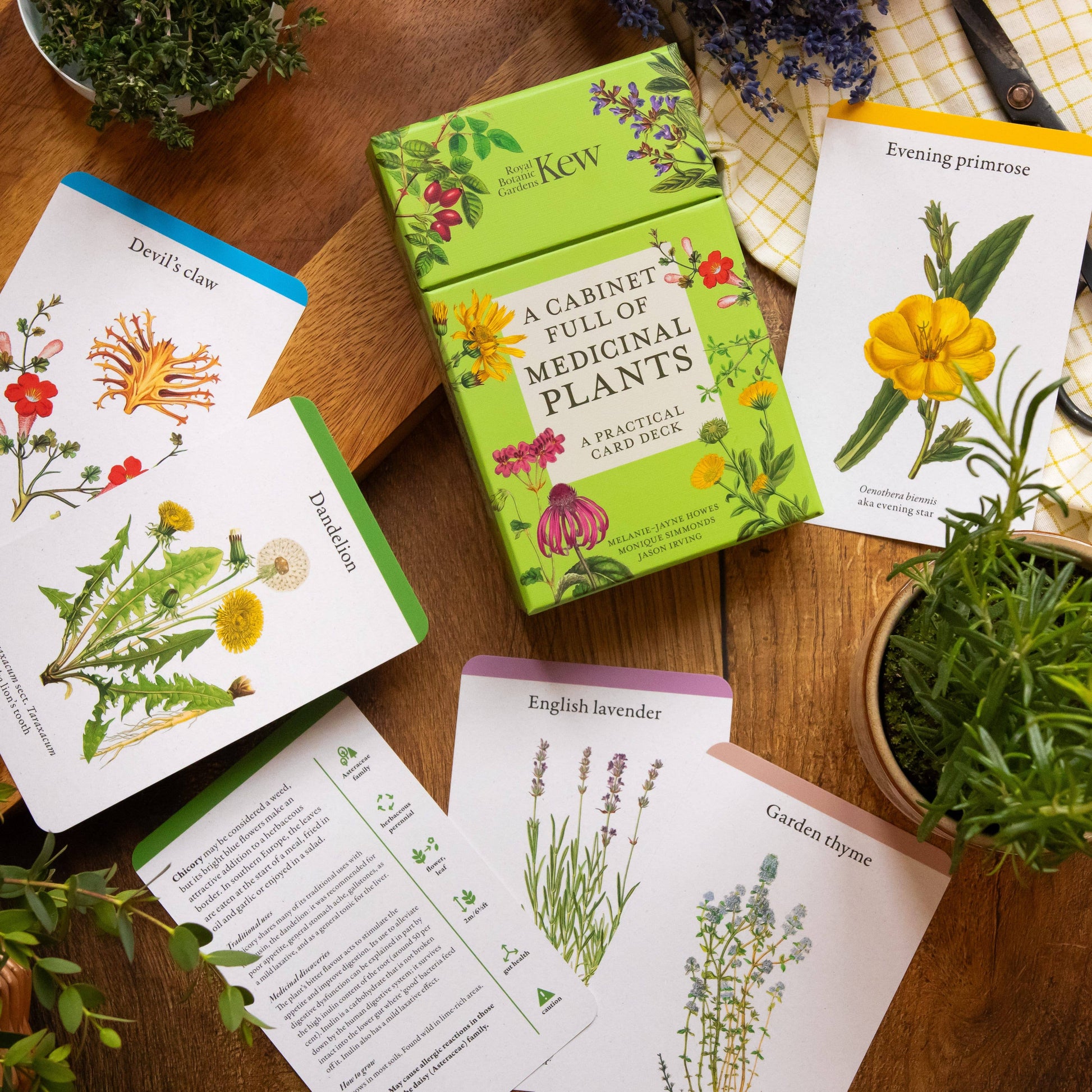 A Cabinet Full of Medicinal Plants