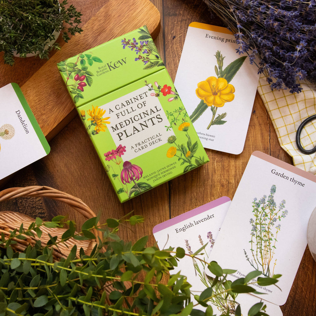 A Cabinet Full of Medicinal Plants