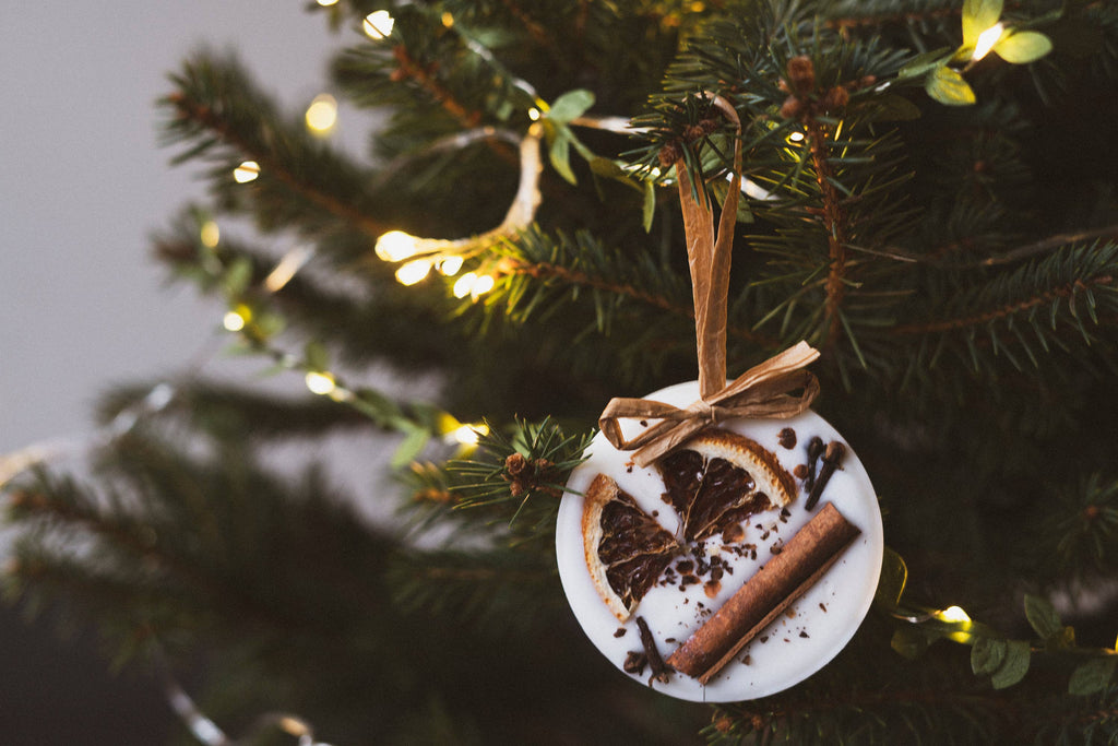 Christmas Scented Tree Decorations: Cranberry Orange and Cinnamon / Star