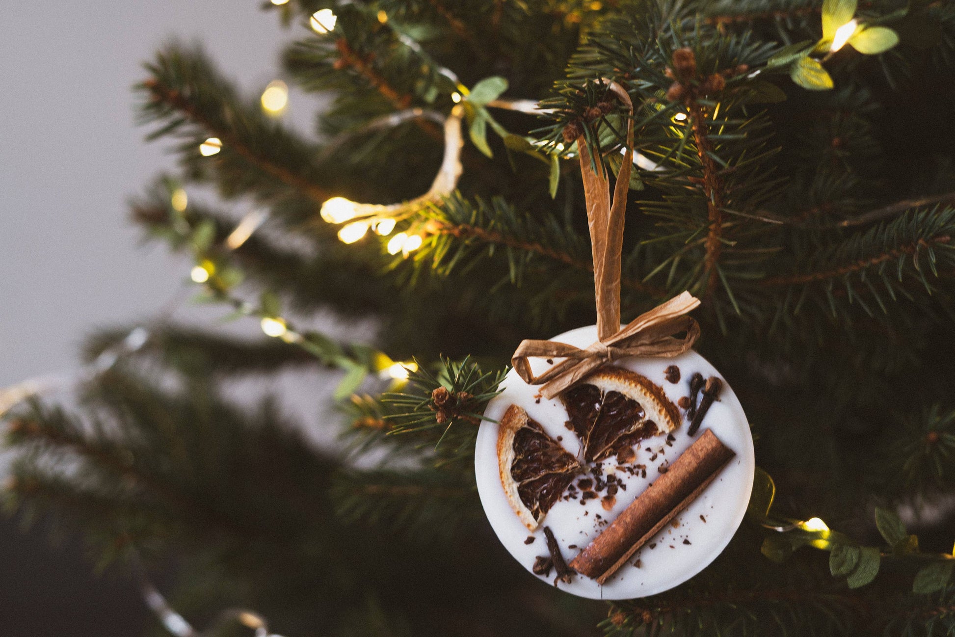 Christmas Scented Tree Decorations: Cranberry Orange and Cinnamon / Star