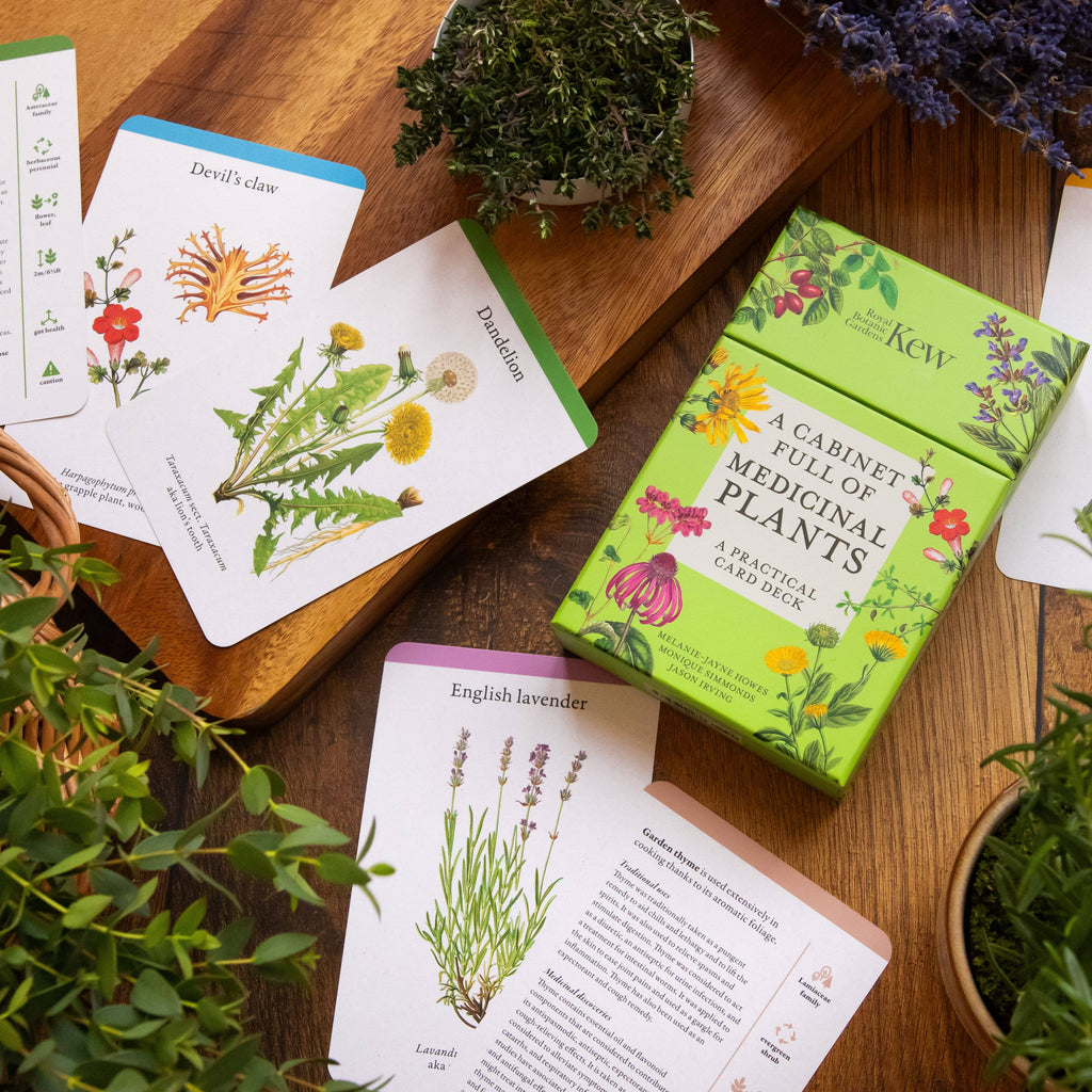 A Cabinet Full of Medicinal Plants