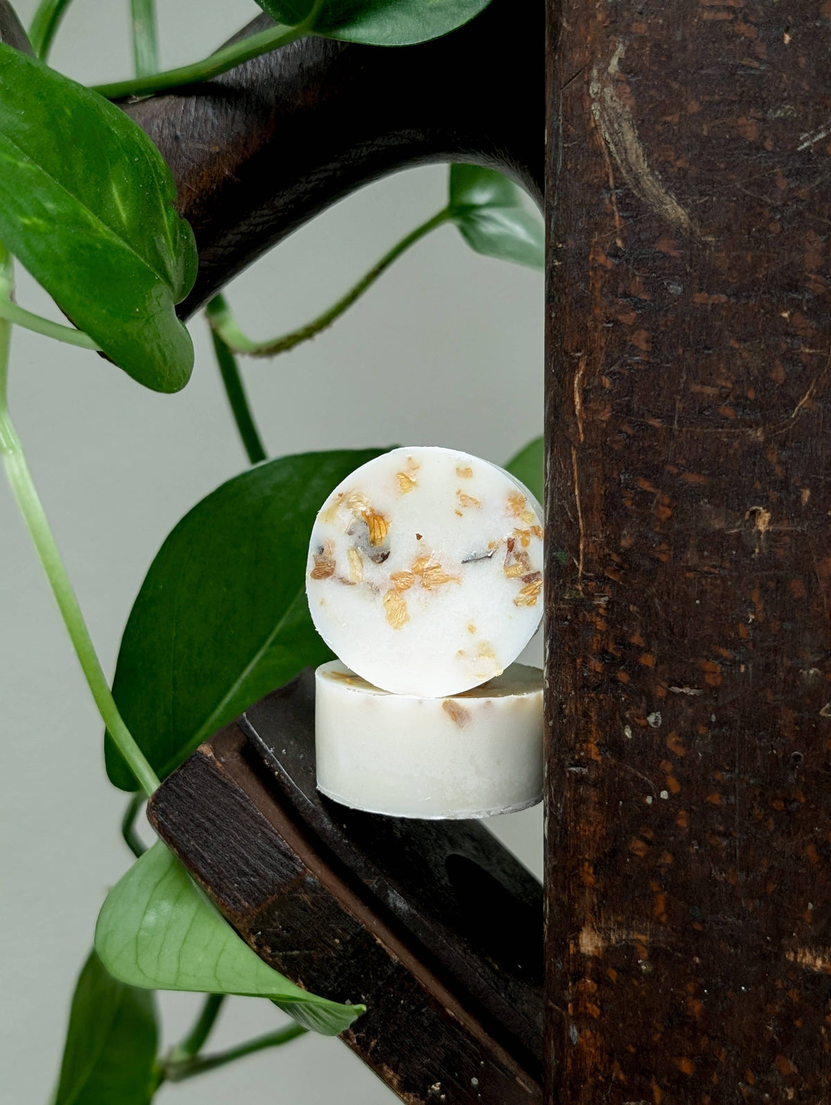 Lemongrass Soy Wax Melts