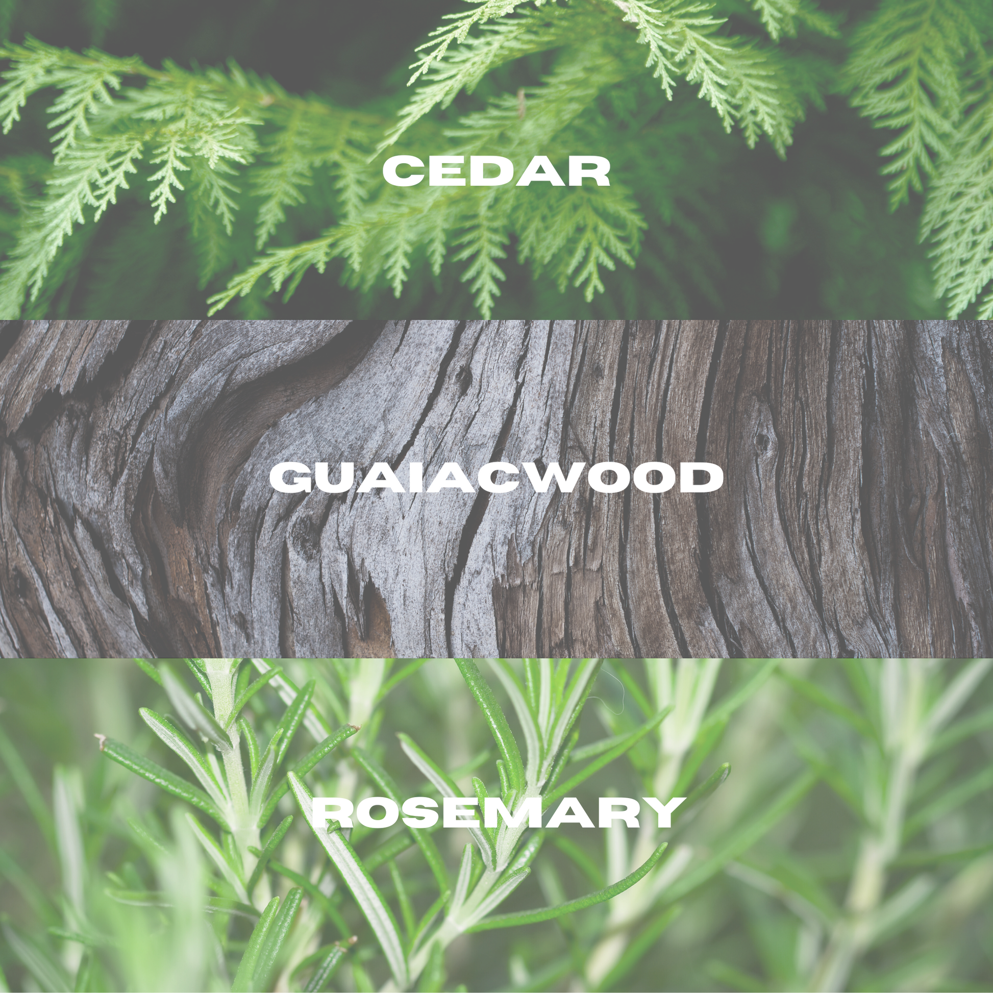 Fragrance spray | EDT | Cedarwood Scent | 50ml | Christmas stocking filler