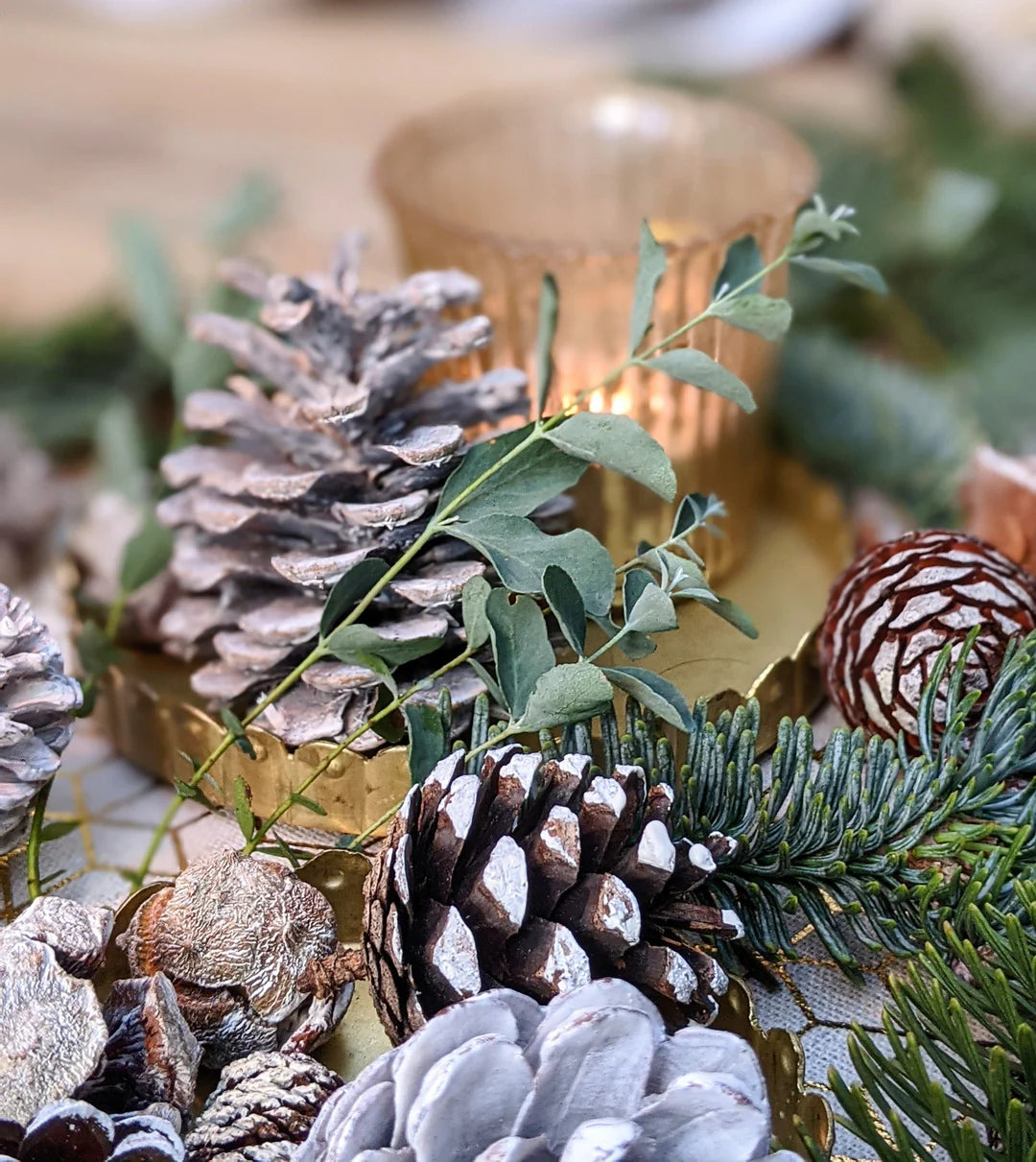 The Danes Natural Mixed White Pine Cones - White Christmas