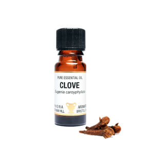 Clove Essential Oil 10ml