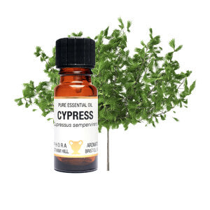 Cypress Essential Oil 10ml