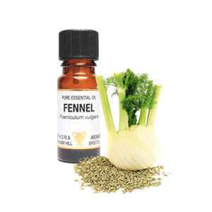 Fennel Essential Oil 10ml