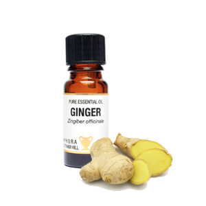 Ginger Essential Oil 10ml