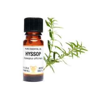 Hyssop Essential Oil 10ml