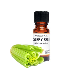 Celery Seed Essential oil 10ml