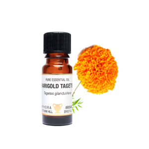 Marigold Tagetes Essential Oil 10ml