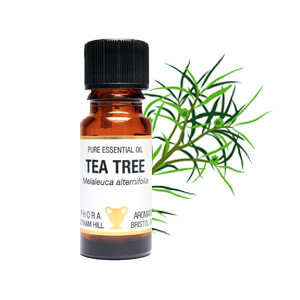 Tea Tree Essential Oil 10ml