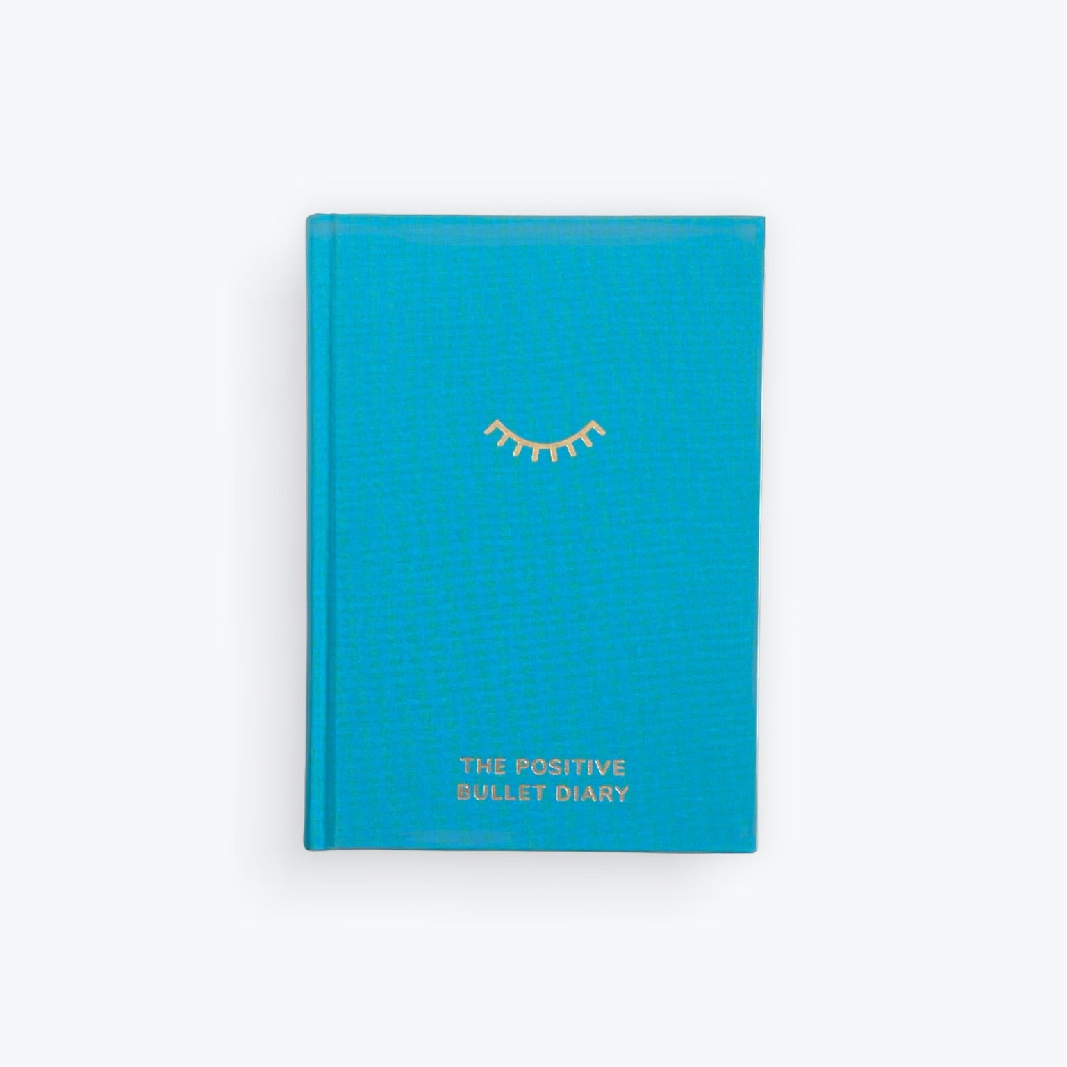 Positive Bullet Diary