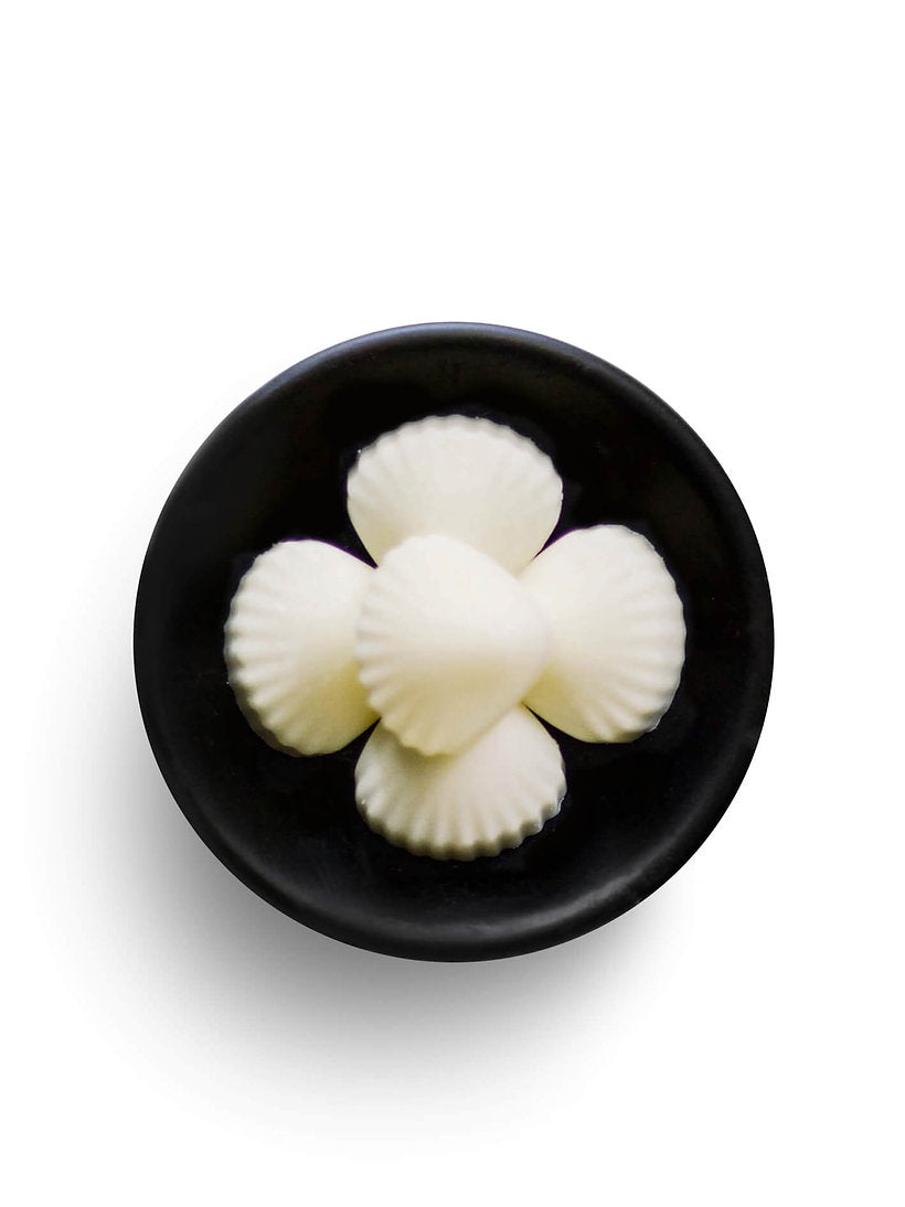 Natural Soya Wax Melts